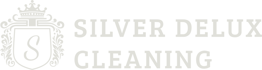 Silver Delux Cleaning